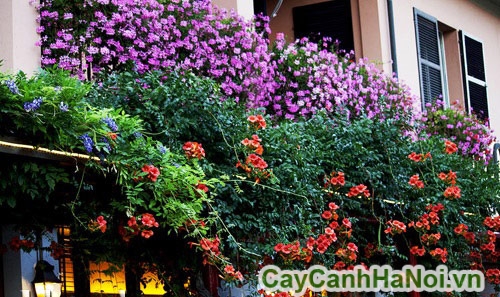 to diem cho nha cua ban to diem cho nha cua ban