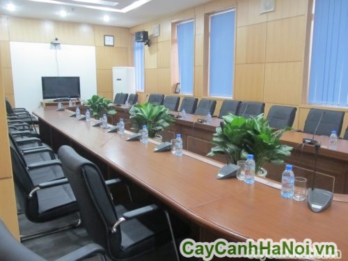 trung bay trong phong hop trung bay trong phong hop