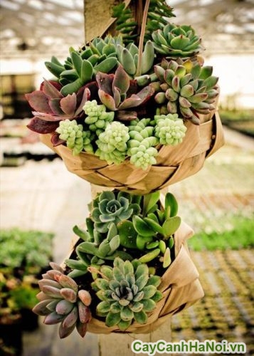 lam qua tang rat y nghia lam qua tang rat y nghia