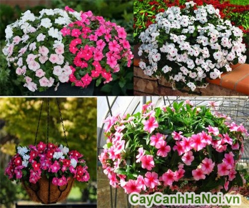 trang tri noi that - trang tri van phong trang tri noi that - trang tri van phong