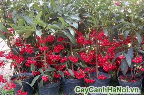 lien he voi chung toi lien he voi chung toi