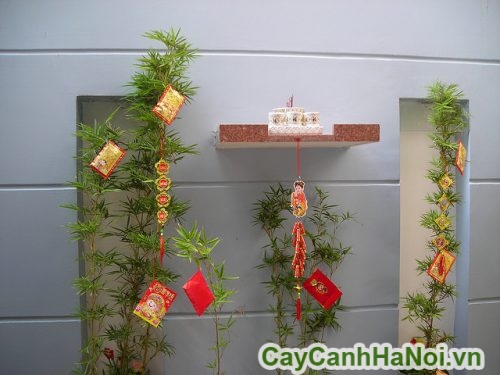 trang tri ngoai that trang tri ngoai that