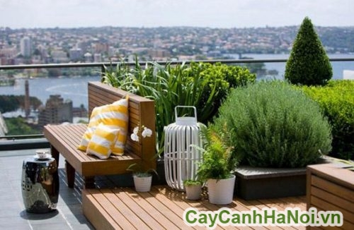 vuon tieu canh tai ban cong chung cu vuon tieu canh tai ban cong chung cu