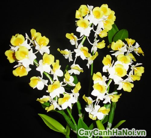 mot chut thuong nho mot chut thuong tu mot chut thuong nho mot chut thuong tu